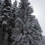 IMG_2200